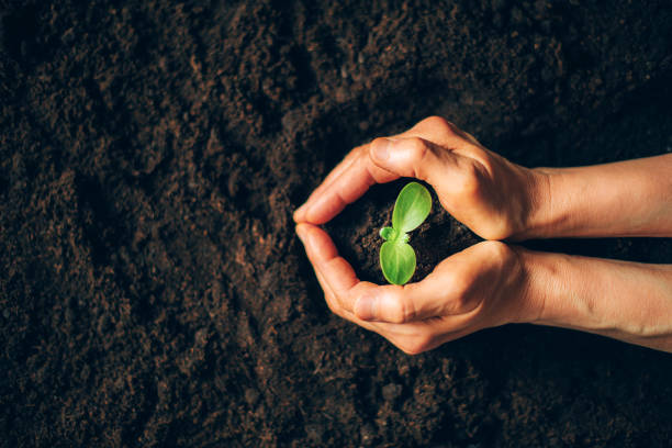 Environmental Awareness
